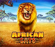 African Cats