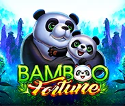 Bamboo Fortune