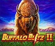 Buffalo Blitz Ii