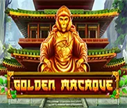 Fire Blaze Golden Macaque