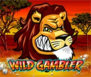 Wild Gambler