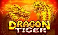 Dragon Tiger Pp