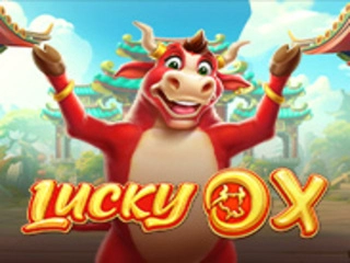 Lucky Ox Pp