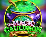 The Magic Cauldron Enchanted Brew