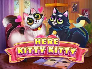 Here Kitty Kitty