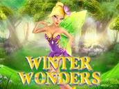 Winter Wonders